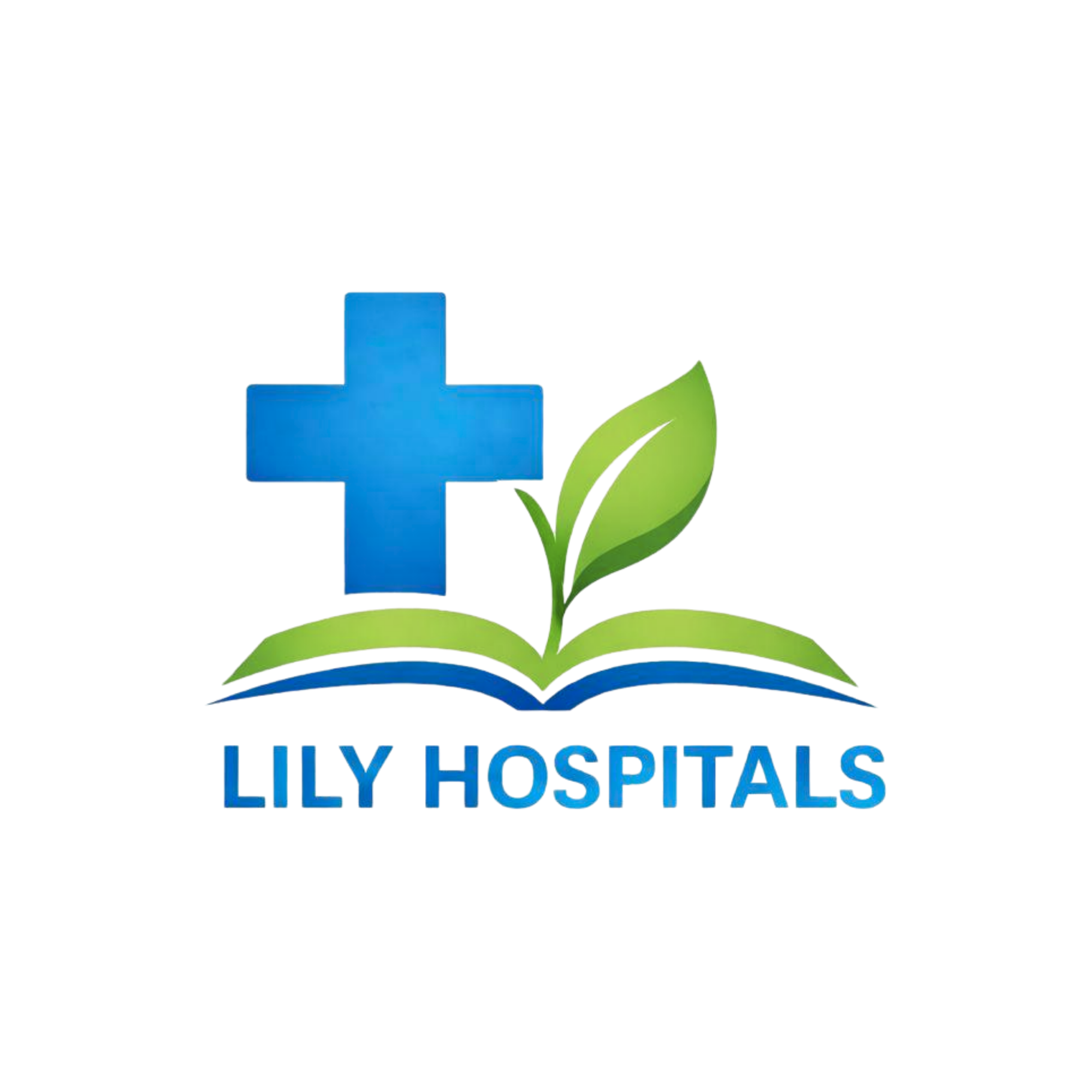 Lily Hospital